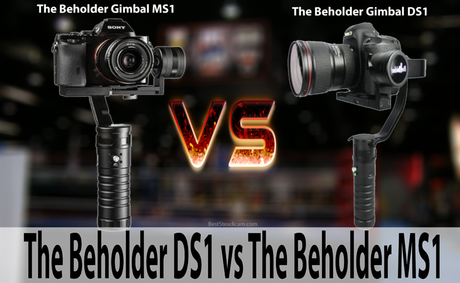 The Beholder DS1 vs The Beholder MS1